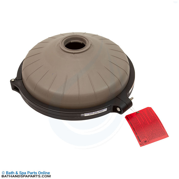 Hayward C2020/C2025/DE2420 Tank Lid w/Clamp Ring (DEX2420BTC)