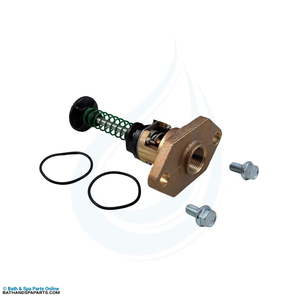 Raypak 336A-408A 105°F U.G./Bypass Assembly [12/2019+] (018758F)
