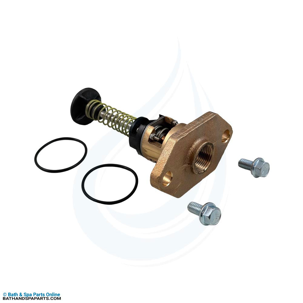Raypak 206A-268A 105°F U.G./Bypass Assembly [12/2019+] (018759F)