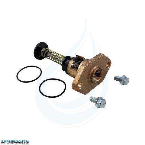 Raypak 206A-268A 105°F U.G./Bypass Assembly [12/2019+] (018759F)