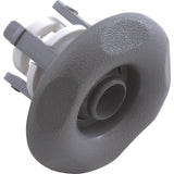 Waterway Adjustable Mini Jet Internal [2-9/16" FD] [DIR] [Tex] [Grey] (212-1247)