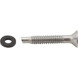 Pentair Amerlite Stainless Steel Light Pilot Screw (619355Z)