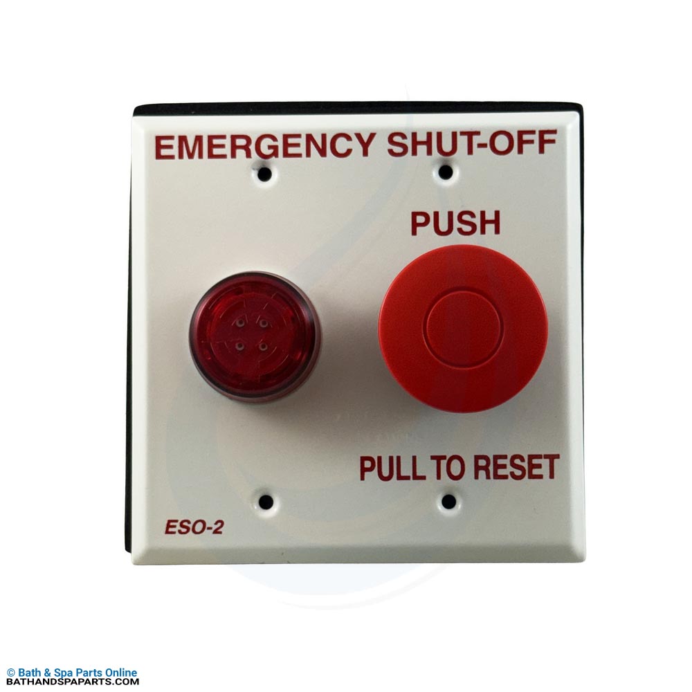 Pentair Compool Emergency Shut-Off Switch w/Alarm (ESO2Z)