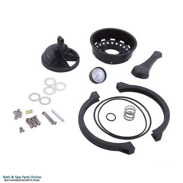 Zodiac Jandy Laars SFTM Rebuild Kit (R0492000)