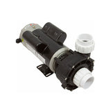 Energy Savers LX Series Spa Pump Assembly (48WUA2002C-II)