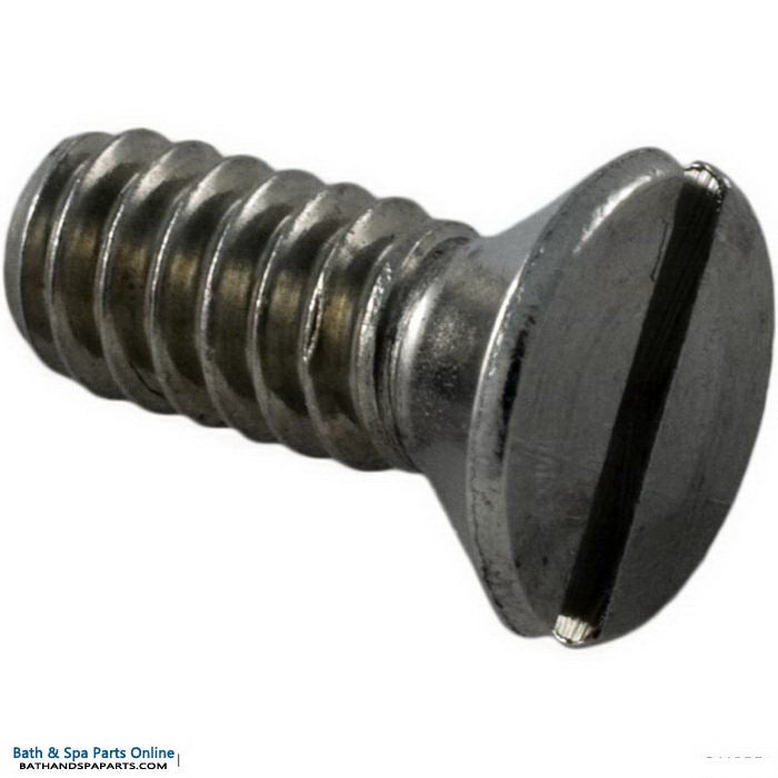 Hayward SP1070/SP1071 Skimmer Retaining Screw (SPX1070Z3)