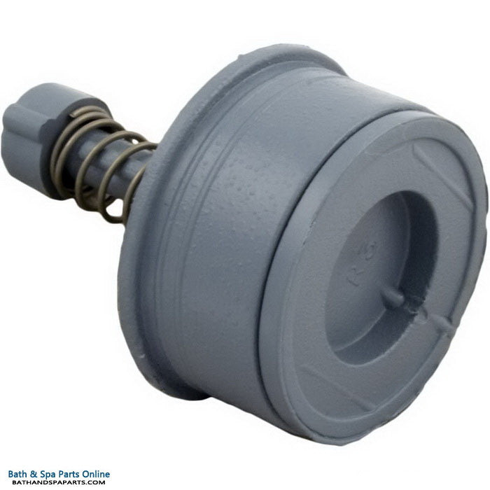 Pool Filter Flapper Waterway 2 in Filter Flapper Bypass Valve (600-1040)