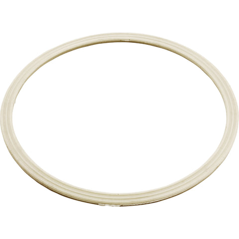 Waterway Dyna Flo Skim Filter Grommet Gasket (711-8010)