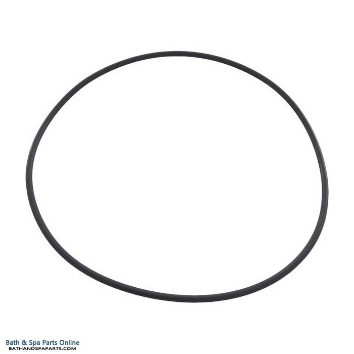 CMP Leaf Canister Lid O-Ring (58309-000-020)