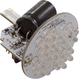 LED Bulb, J & J ColorGlo Raydiance, 24 LED, Spa